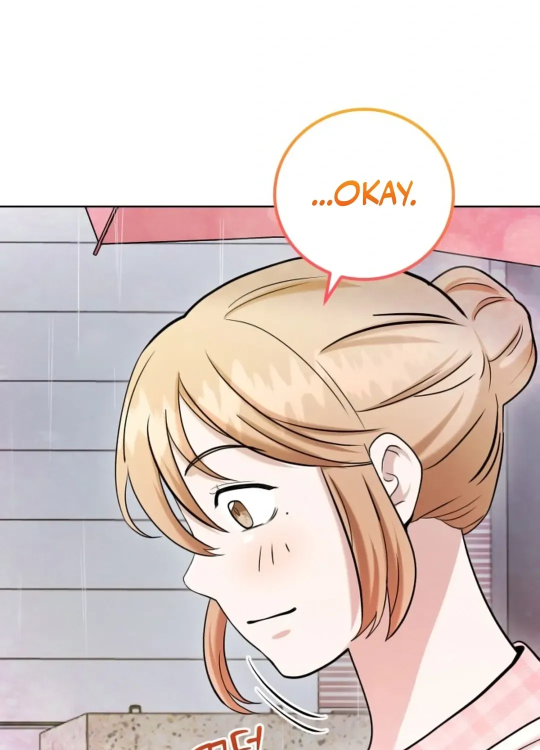 Professor Chapter 17 page 17 - 