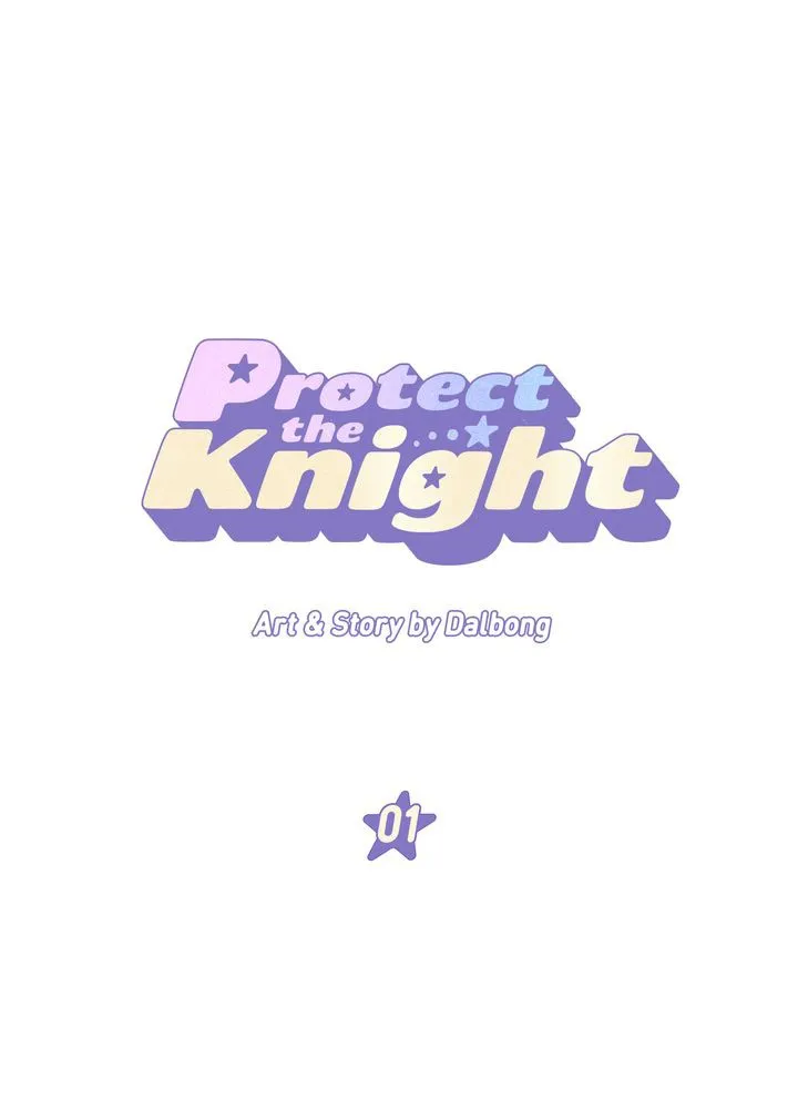 Protect the Knight Chapter 1 page 16 - 