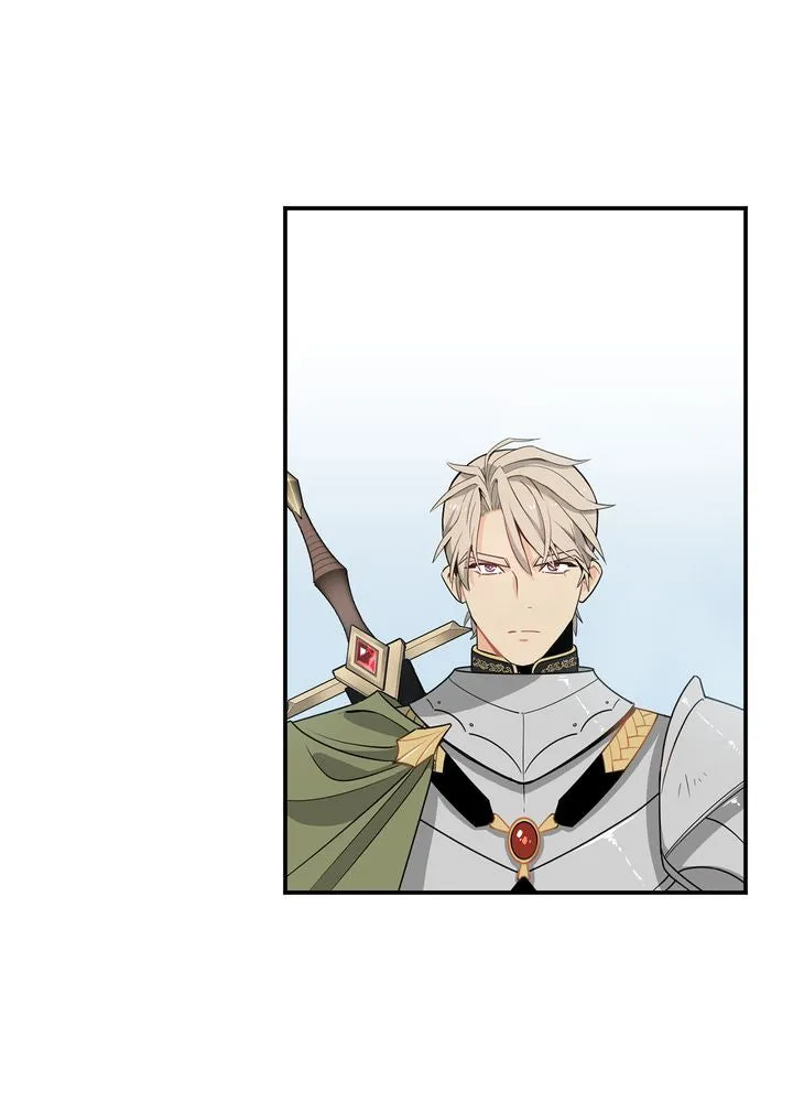 Protect the Knight Chapter 1 page 61 - 