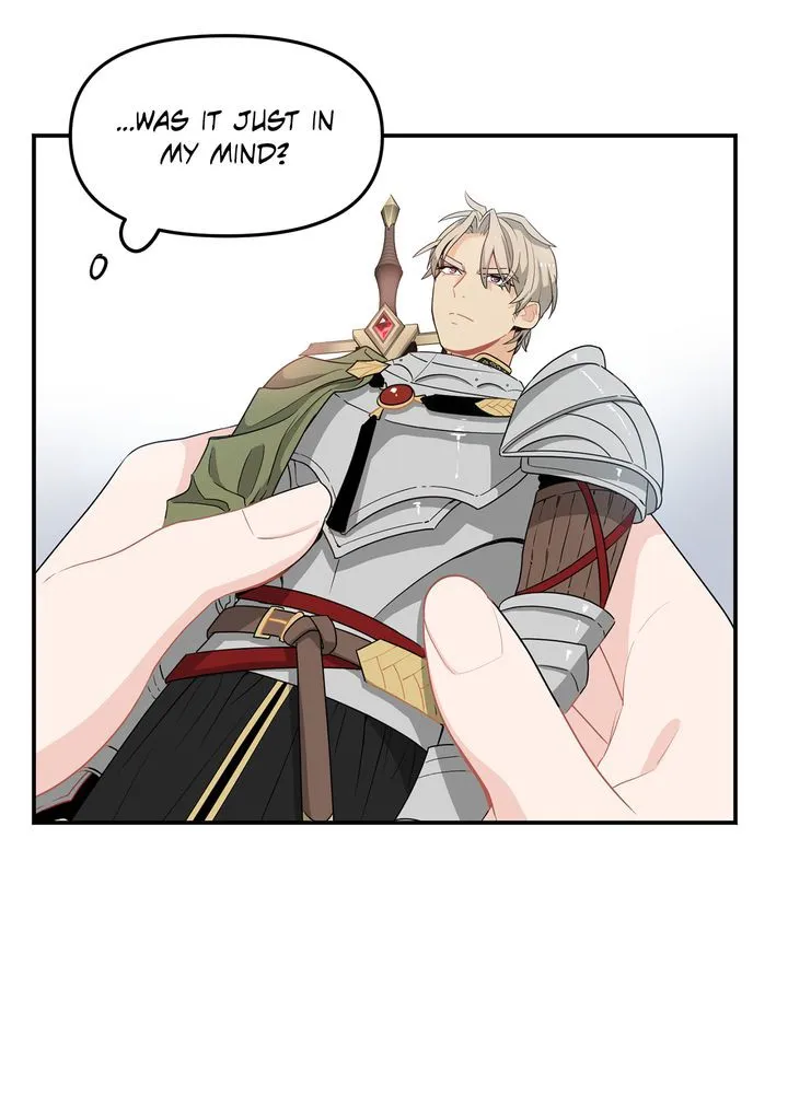 Protect the Knight Chapter 1 page 74 - 