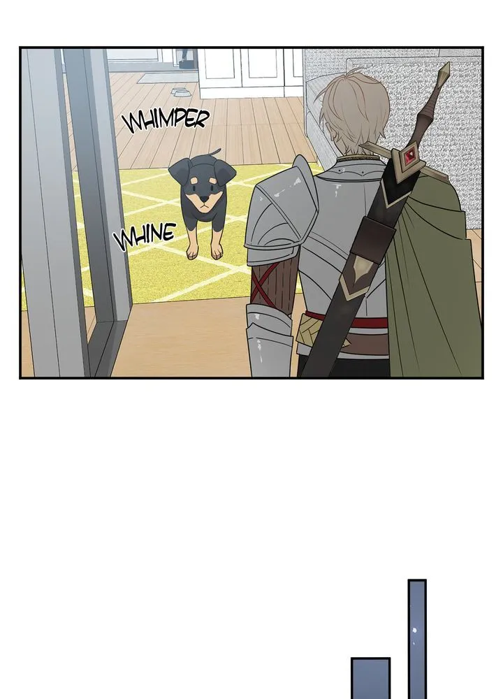 Protect the Knight Chapter 1 page 81 - 