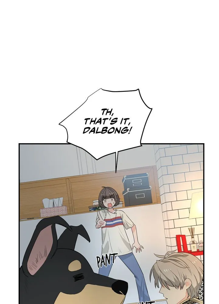 Protect the Knight Chapter 2 page 17 - 