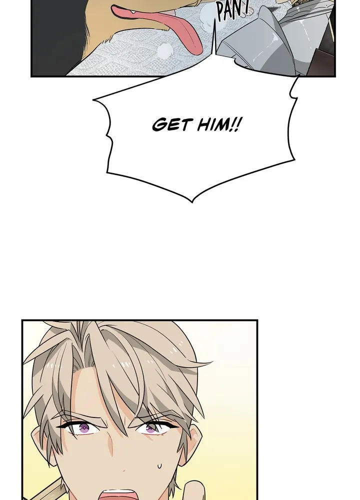 Protect the Knight Chapter 2 page 18 - 