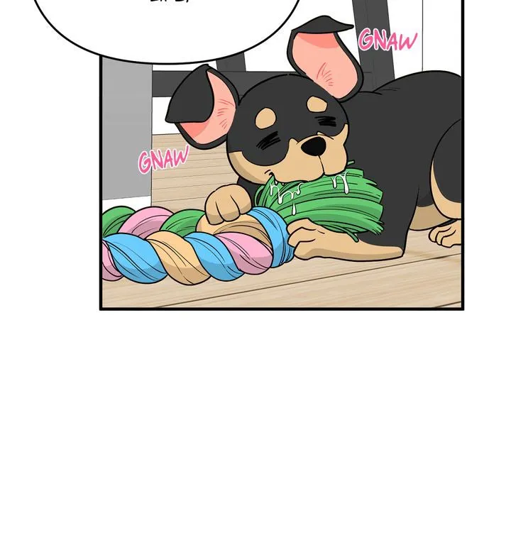 Protect the Knight Chapter 3 page 15 - 