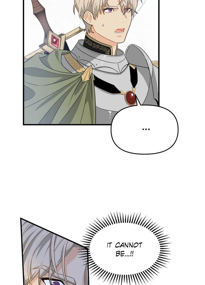 Protect the Knight Chapter 3 page 27 - 