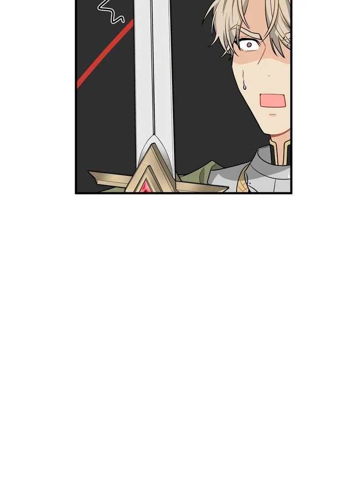 Protect the Knight Chapter 3 page 44 - 