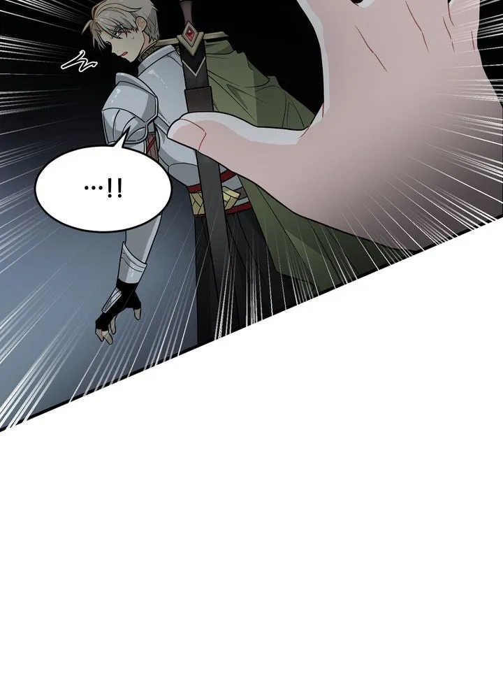 Protect the Knight Chapter 4 page 25 - 
