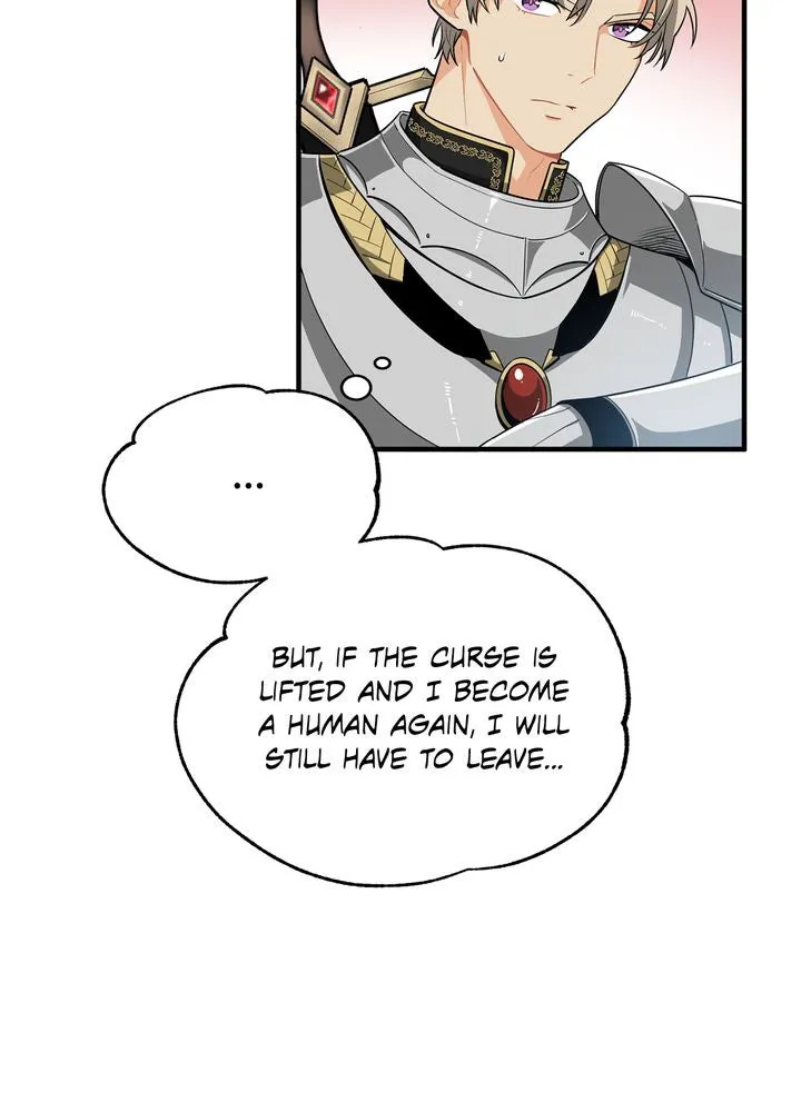 Protect the Knight Chapter 4 page 47 - 