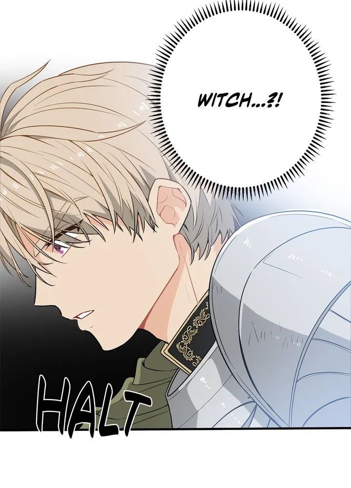 Protect the Knight Chapter 4 page 67 - 