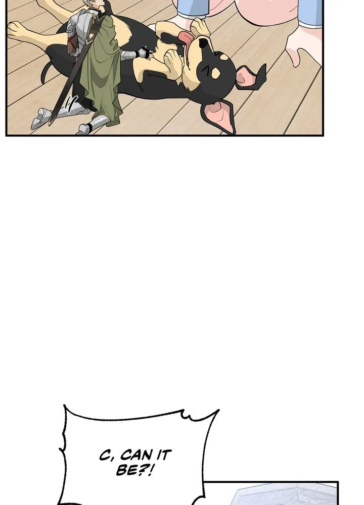 Protect the Knight Chapter 7 page 22 - 