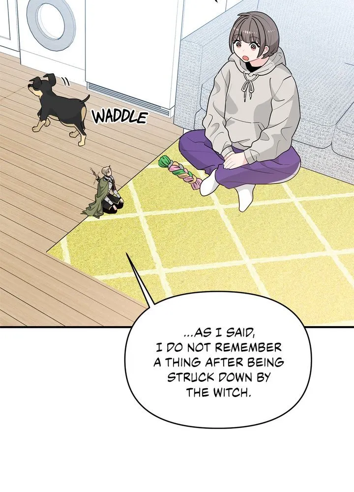 Protect the Knight Chapter 7 page 42 - 