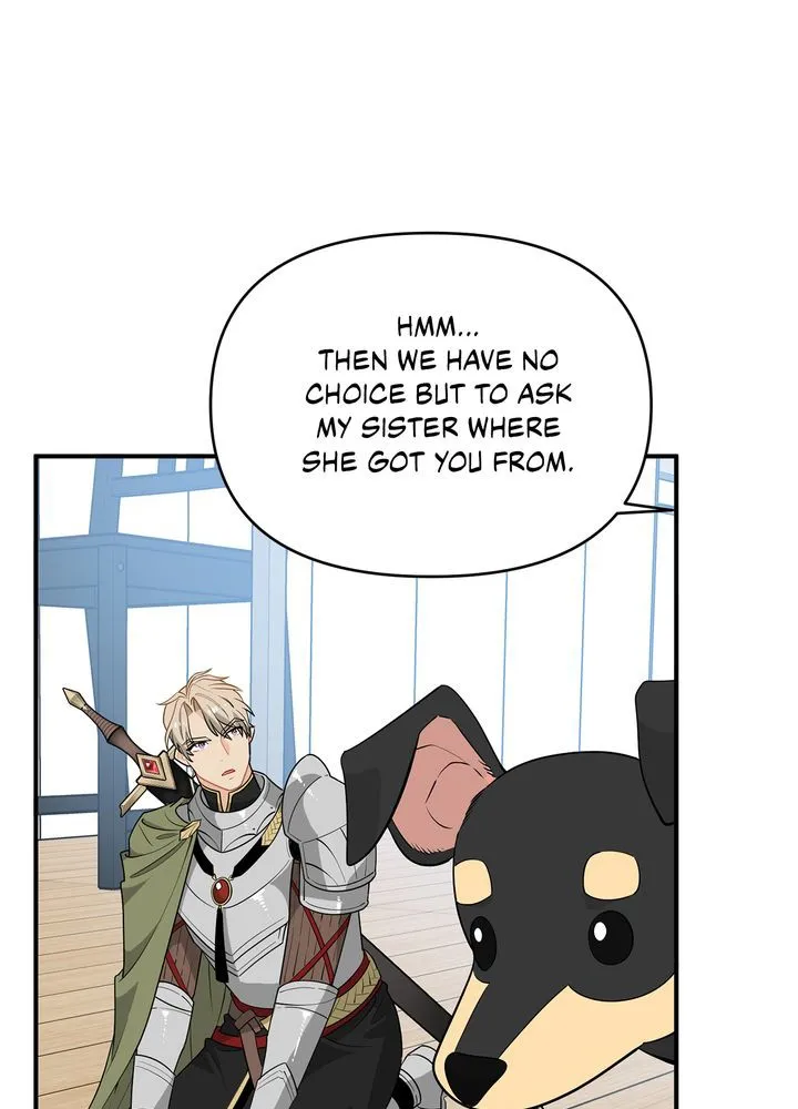 Protect the Knight Chapter 7 page 43 - 