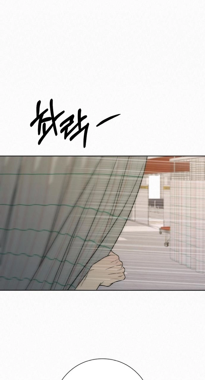 Pure Love Operation Chapter 144 page 74 - 