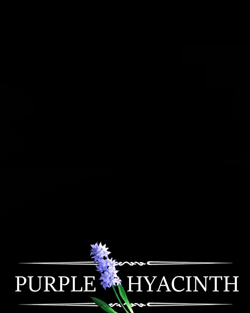 Purple Hyacinth Chapter 159 page 2 - 