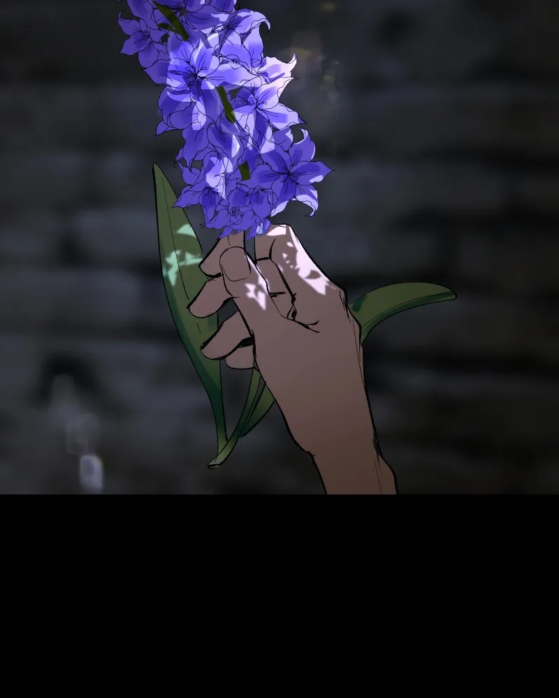 Purple Hyacinth Chapter 163 page 203 - 