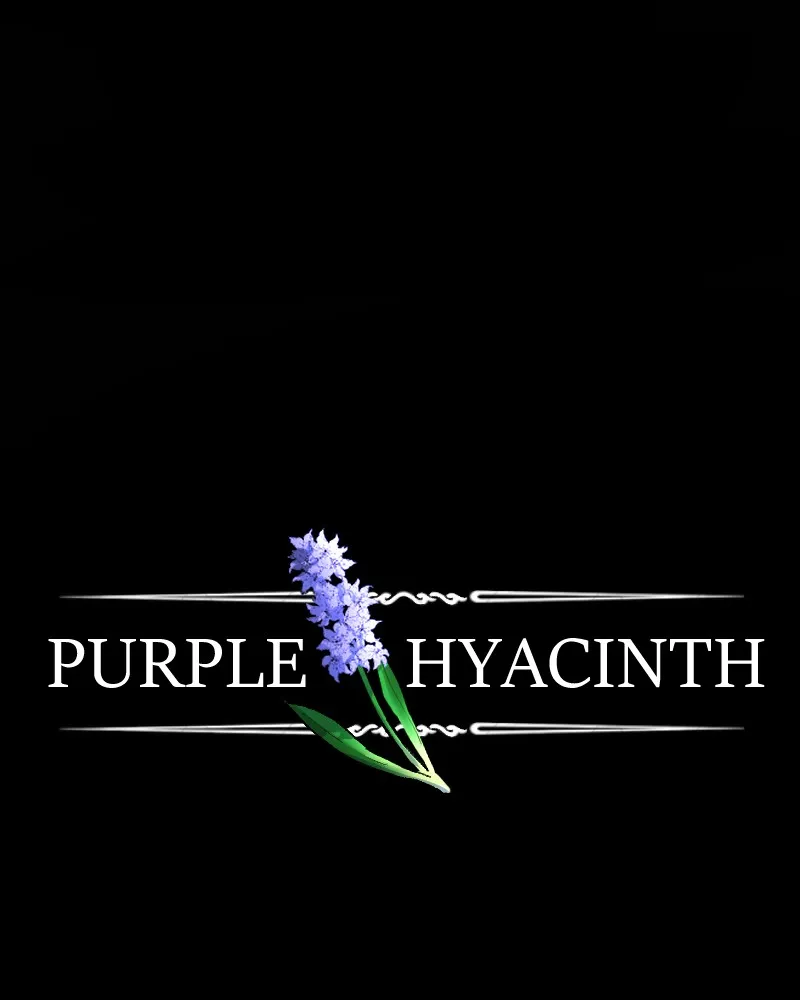 Purple Hyacinth Chapter 75 page 3 - 