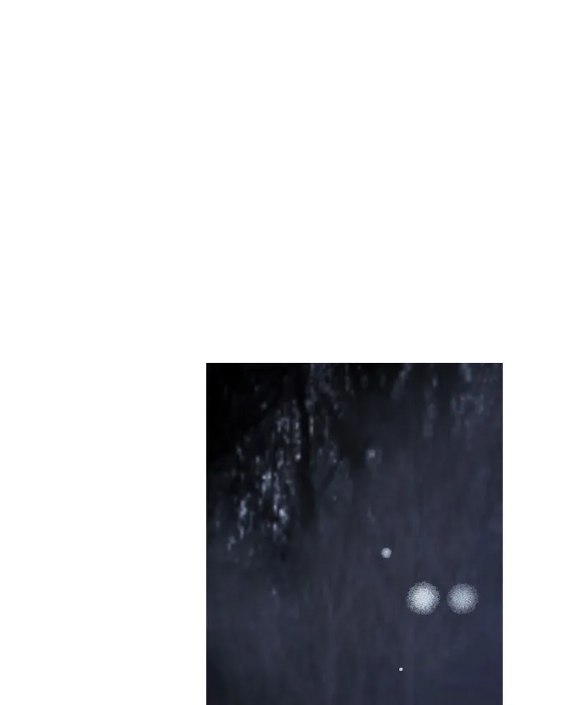 Purple Hyacinth Chapter 80 page 37 - 