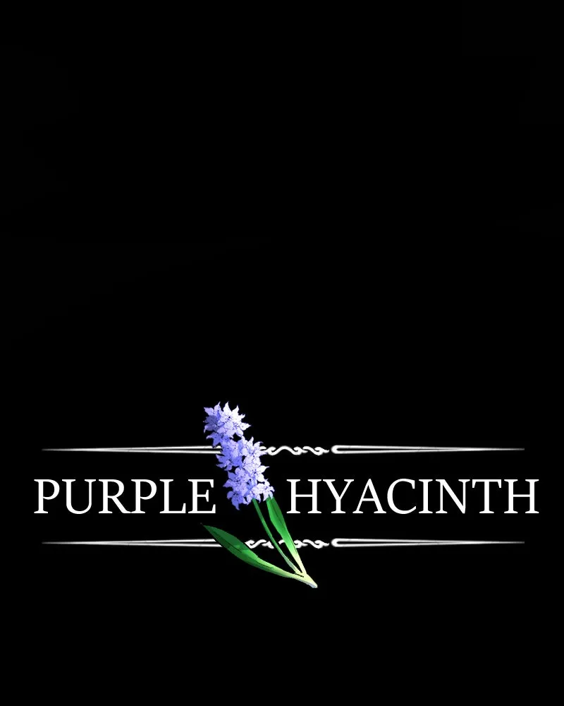 Purple Hyacinth Chapter 81 page 4 - 