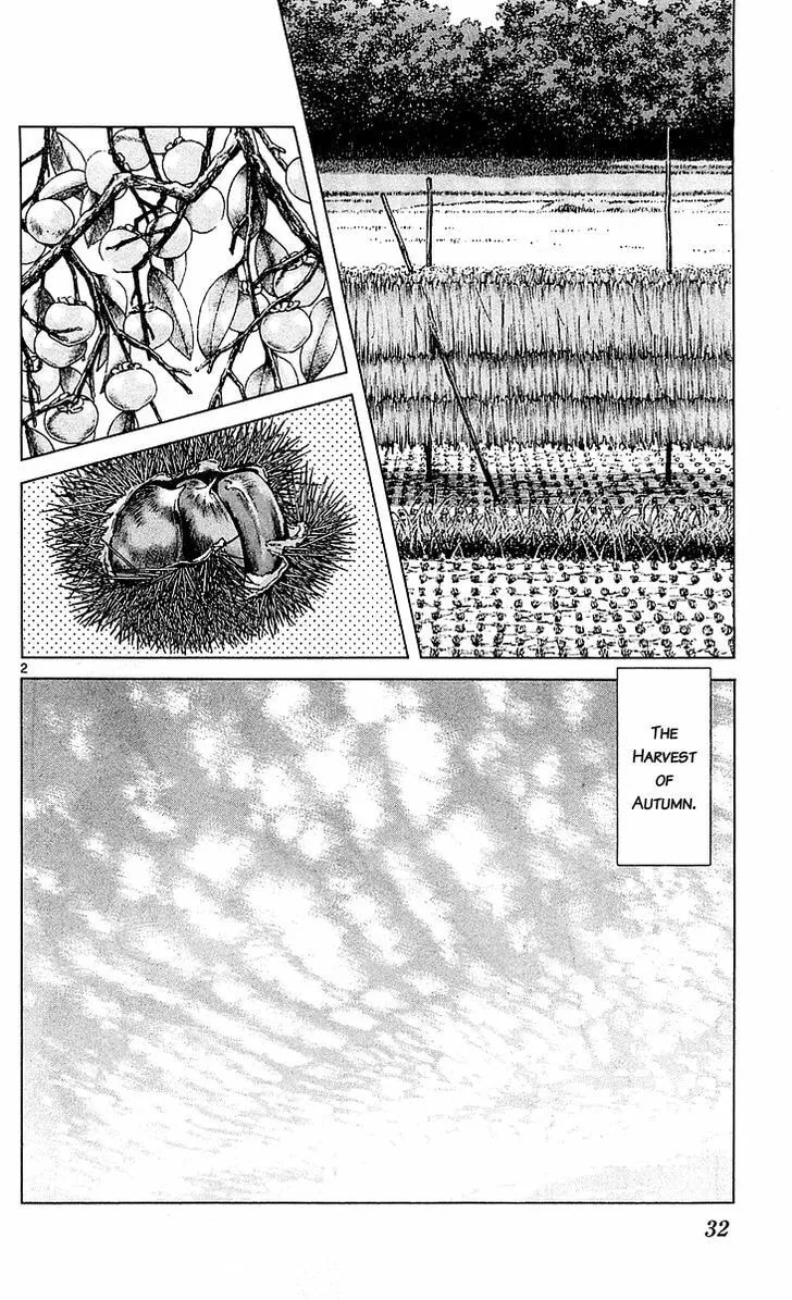 Q and A Chapter 25 page 2 - 