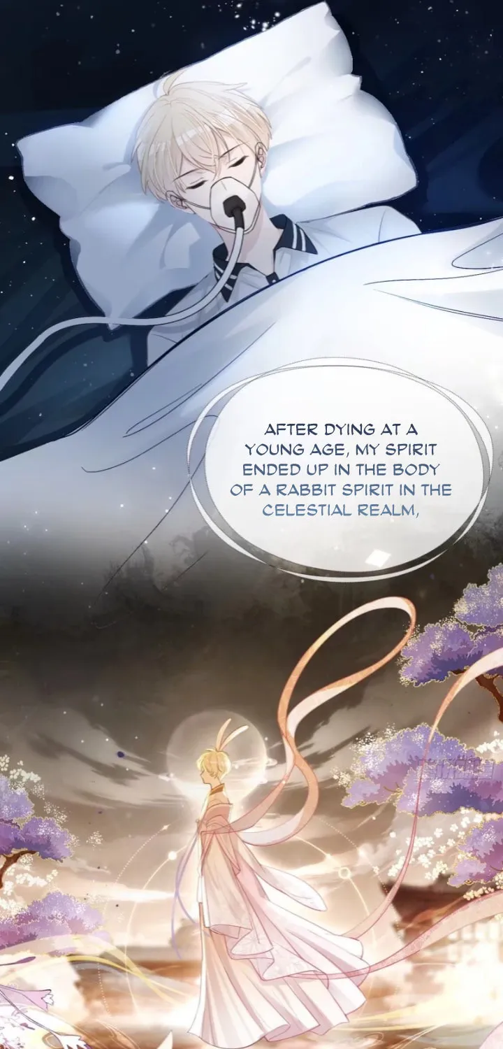 Quick Transmigration: Addictive Relationship Chapter 1 page 18 - 