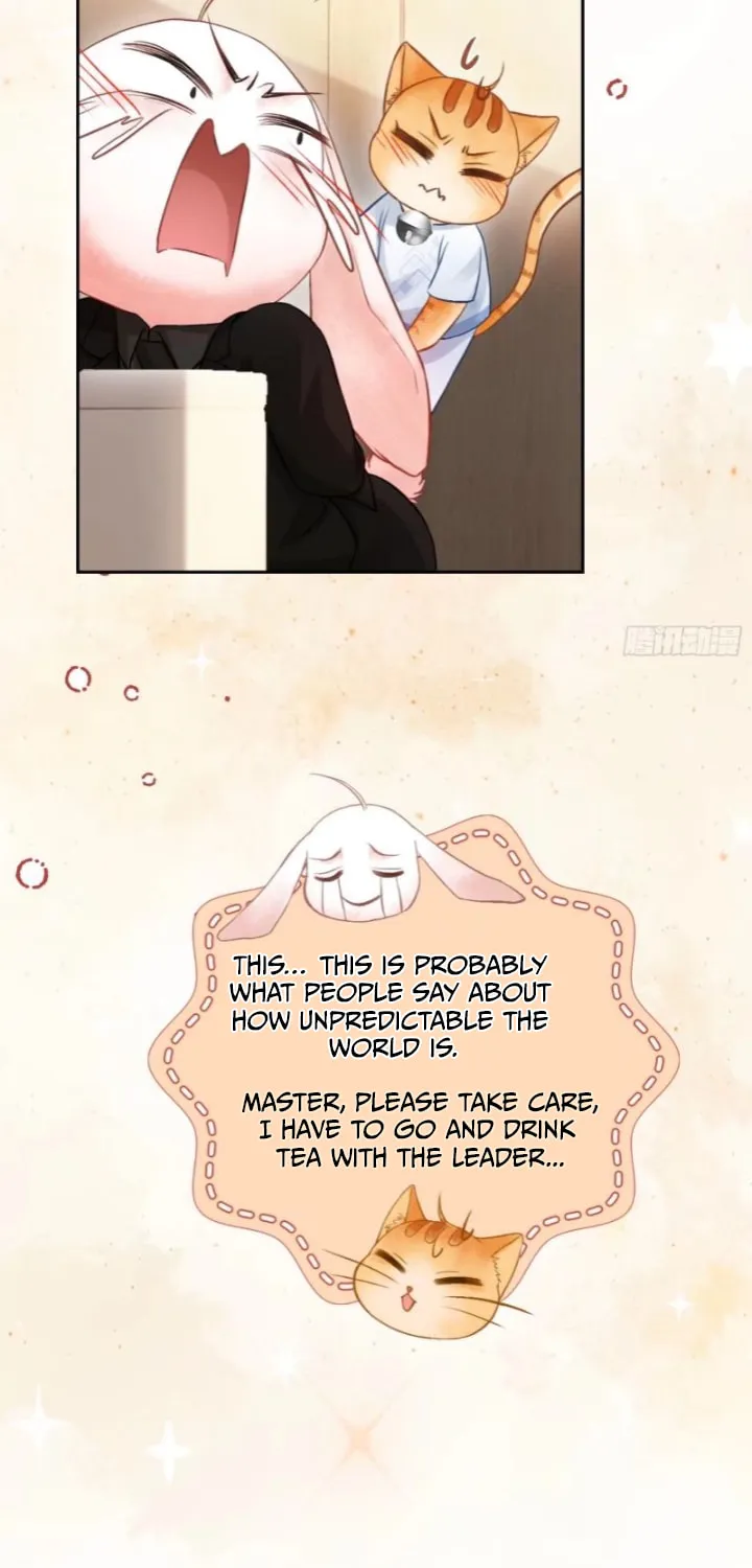 Quick Transmigration: Addictive Relationship Chapter 5 page 54 - 
