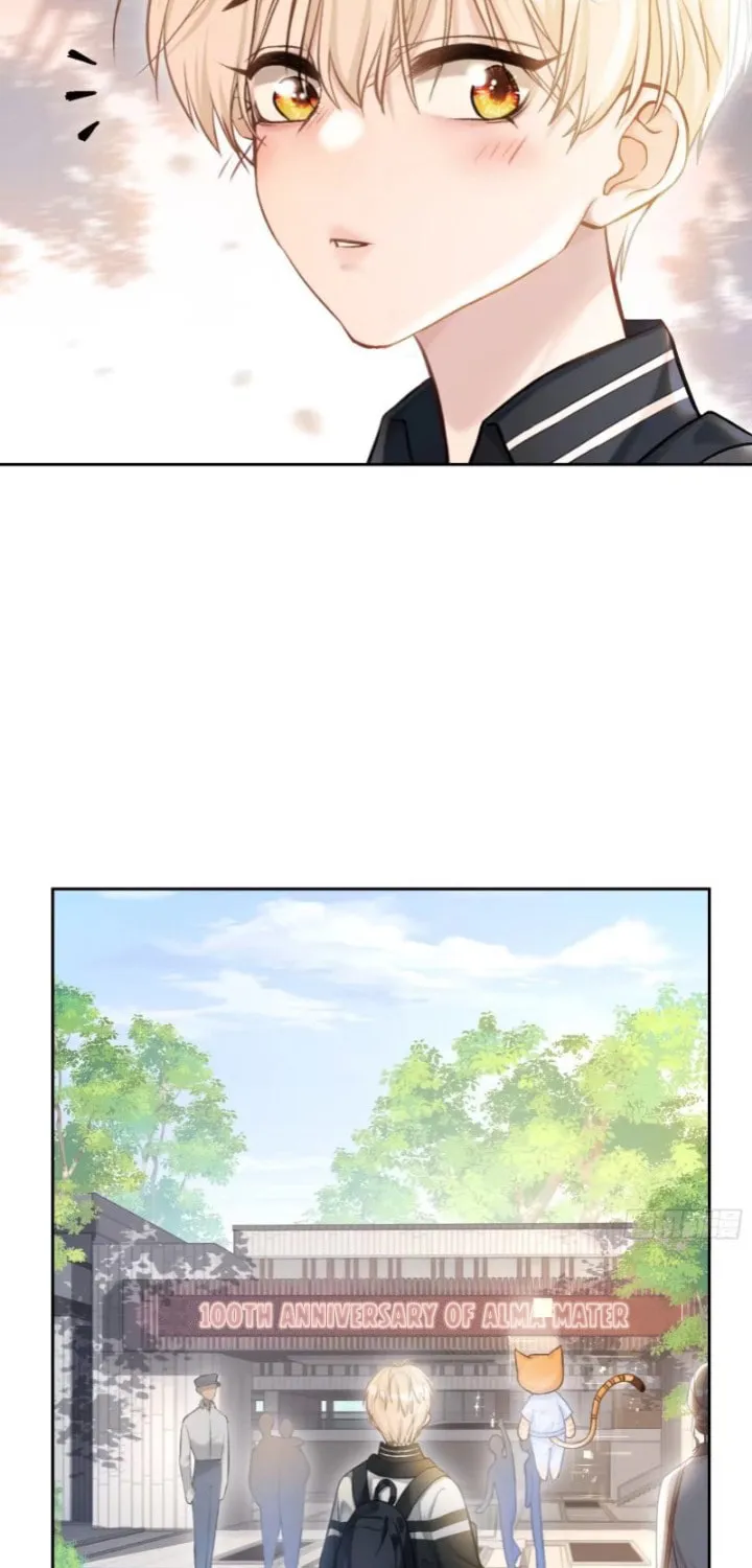 Quick Transmigration: Addictive Relationship Chapter 6 page 6 - 