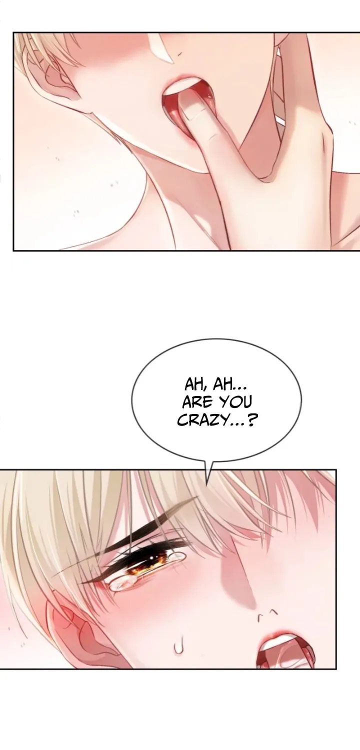 Quick Transmigration: Addictive Relationship Chapter 7 page 24 - 