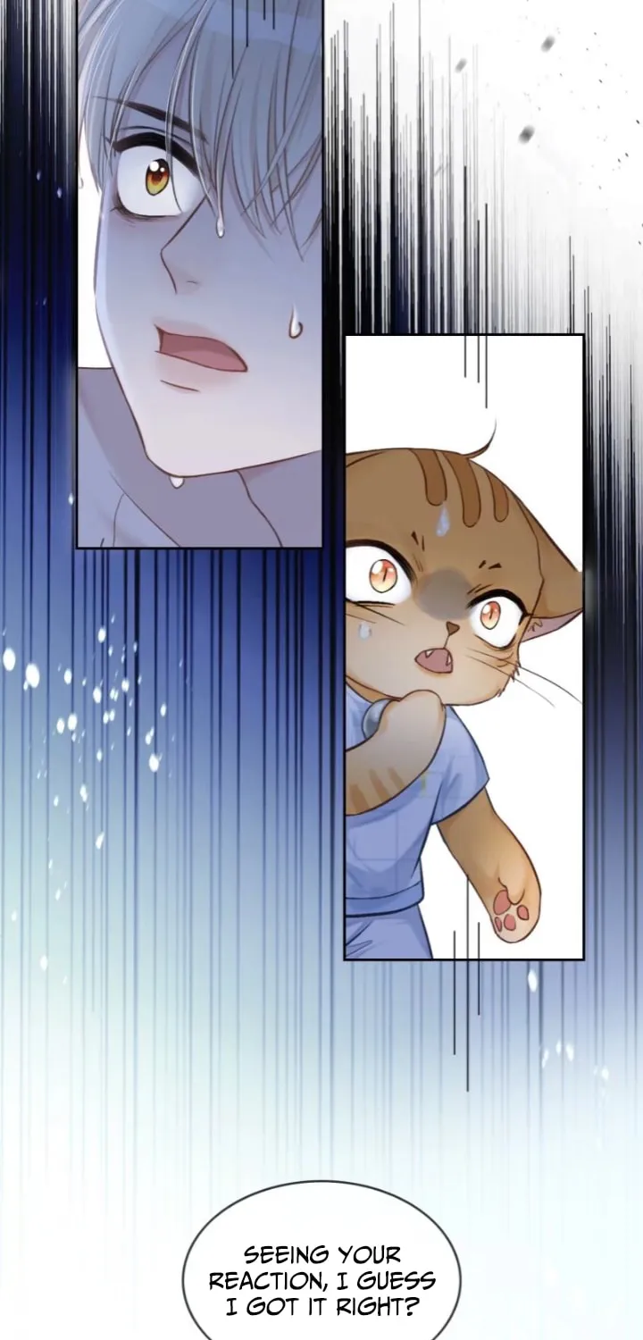 Quick Transmigration: Addictive Relationship Chapter 7 page 8 - 