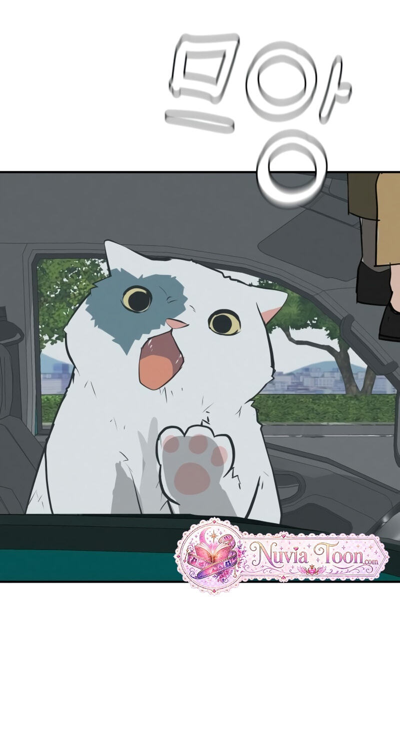 Radiant Rewind Chapter 119 page 43 - 