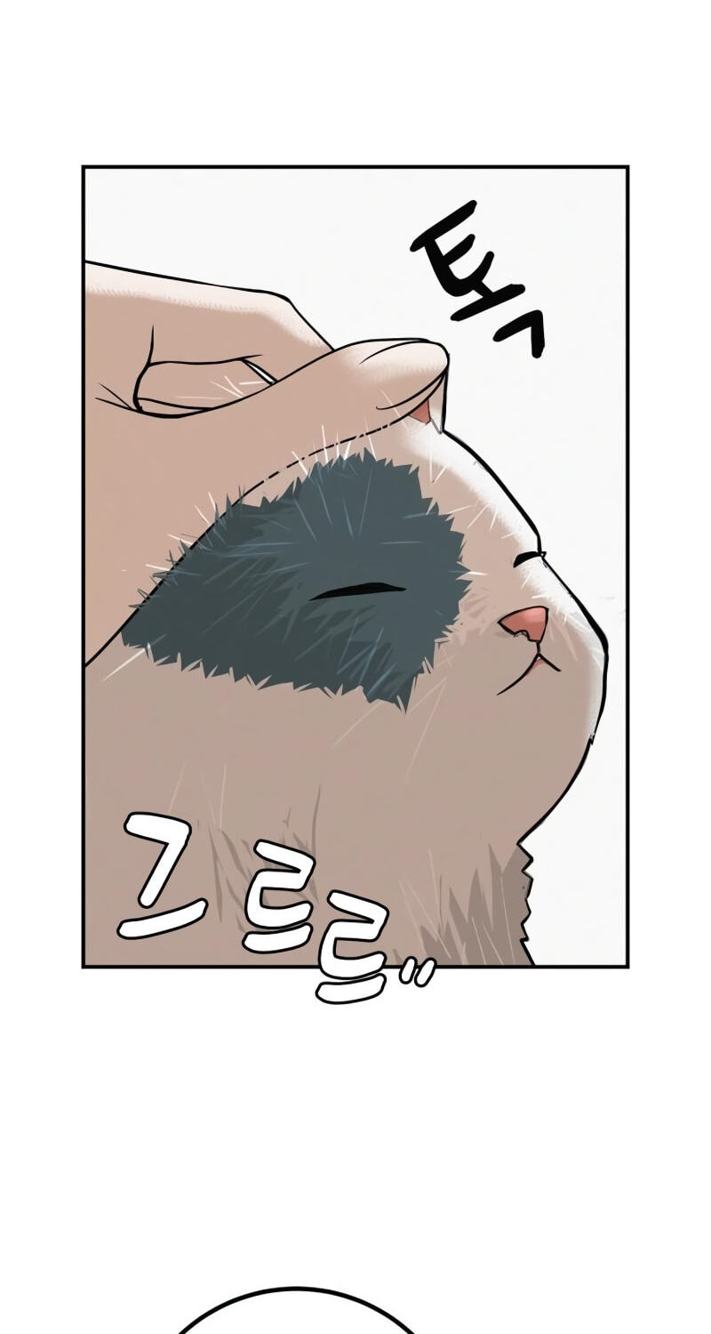 Radiant Rewind Chapter 122 page 16 - 