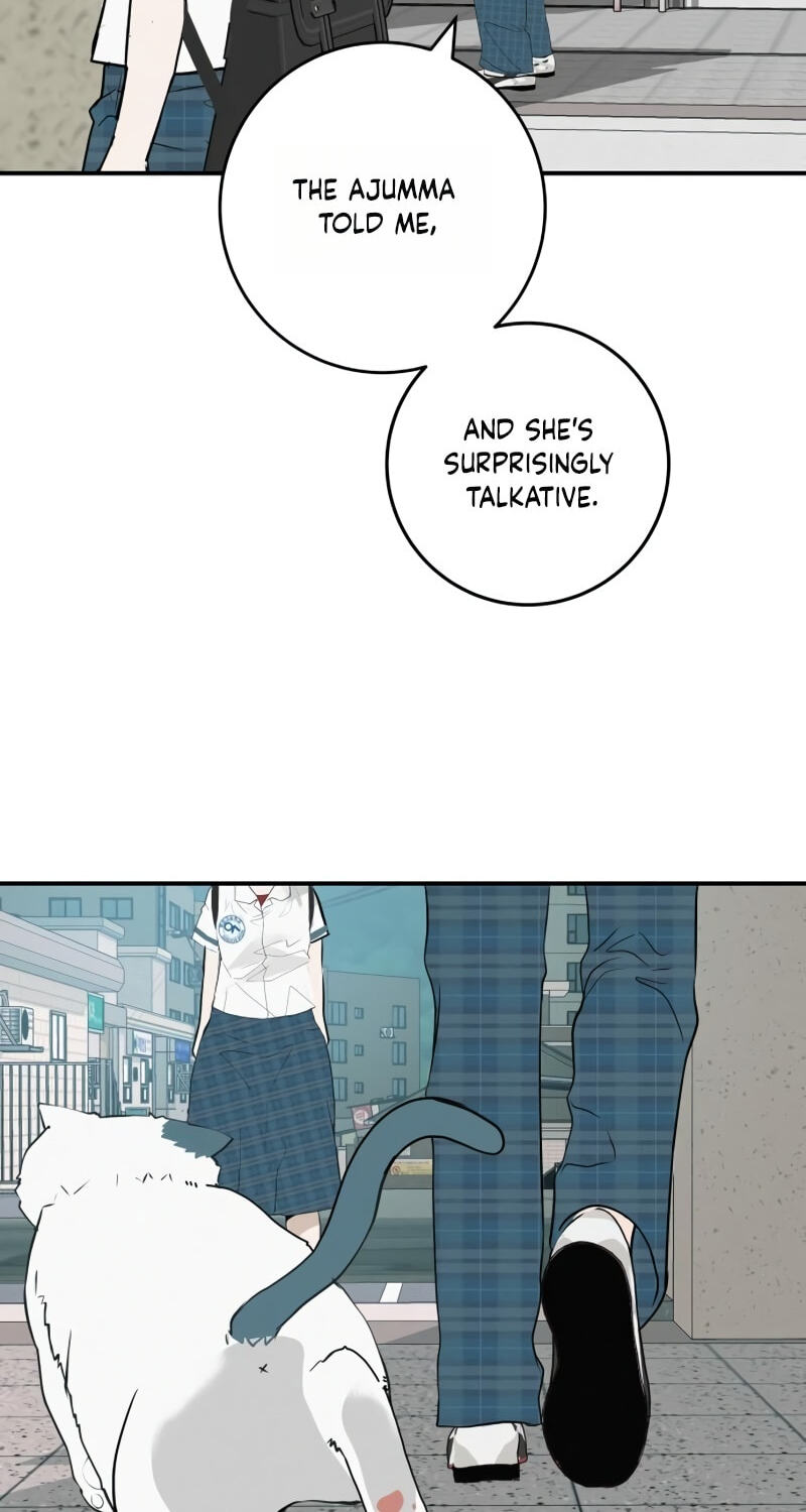 Radiant Rewind Chapter 124 page 50 - 