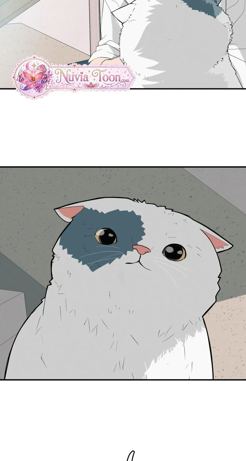 Radiant Rewind Chapter 124 page 6 - 