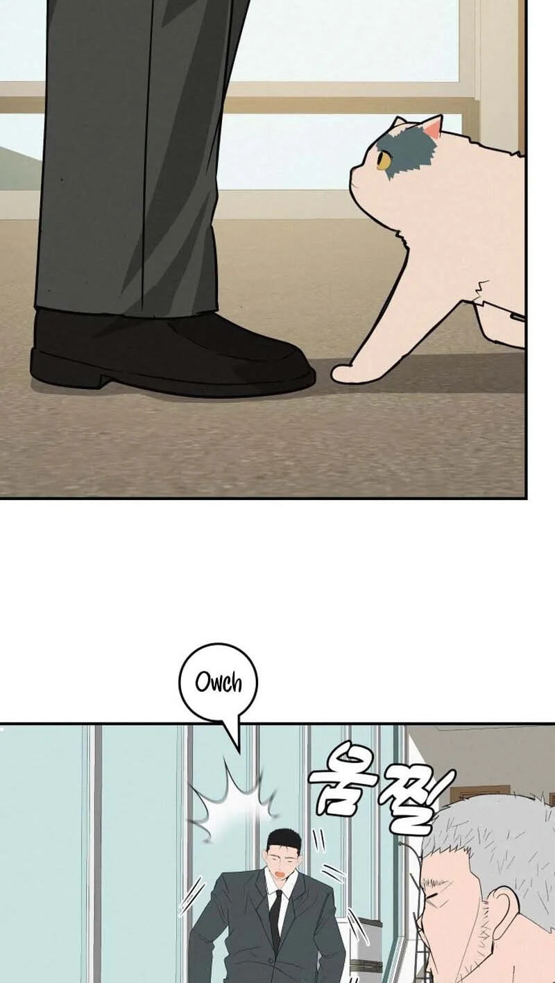 Radiant Rewind Chapter 131 page 22 - 