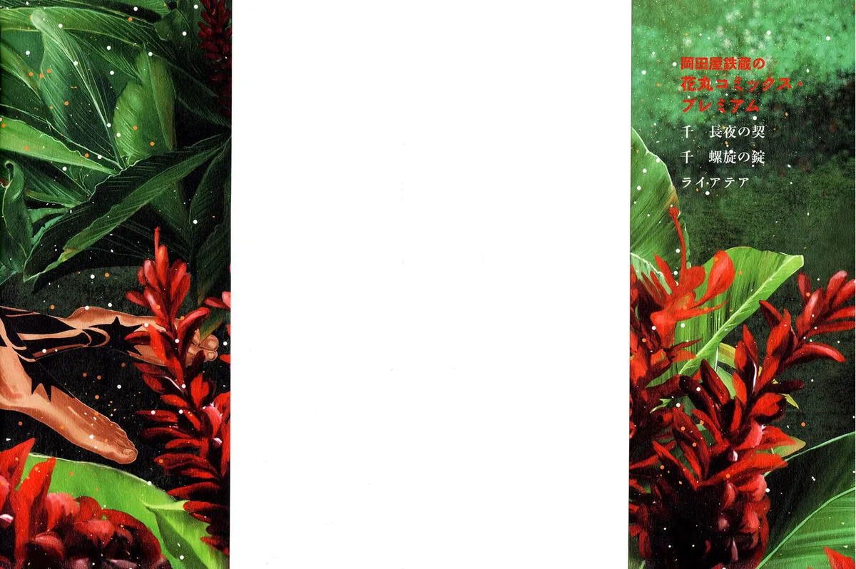 Raiatea Chapter 1 page 4 - 