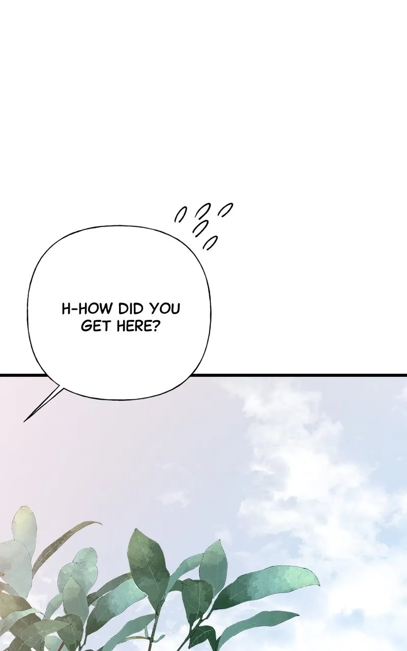 Random Target Chapter 75 page 137 - 
