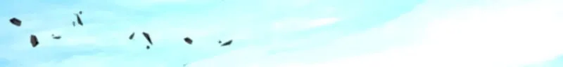 Ranker's Return Chapter 26 page 49 - 