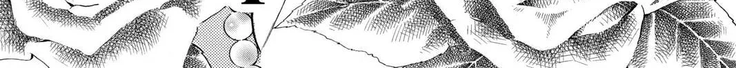 Rasetsu Chapter 4 page 2 - 