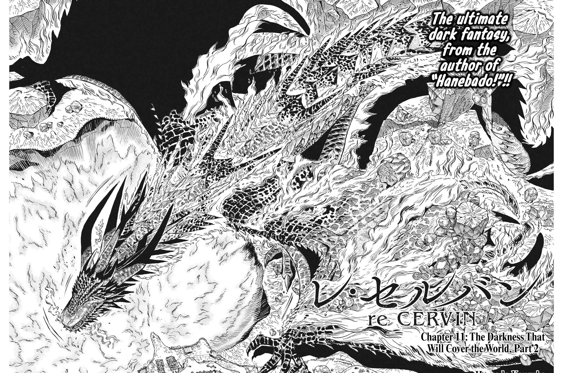 re CERVIN Chapter 11 page 3 - 