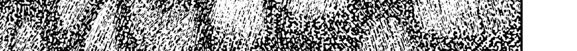 re CERVIN Chapter 12 page 26 - 
