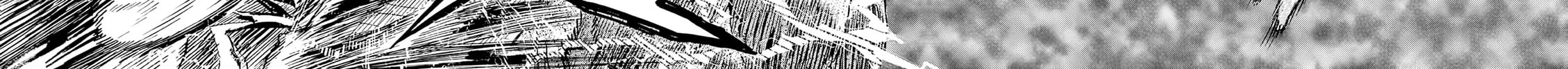 re CERVIN Chapter 12 page 34 - 