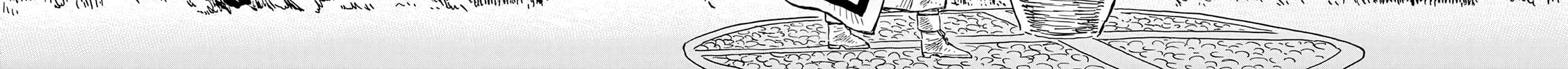 re CERVIN Chapter 13 page 36 - 