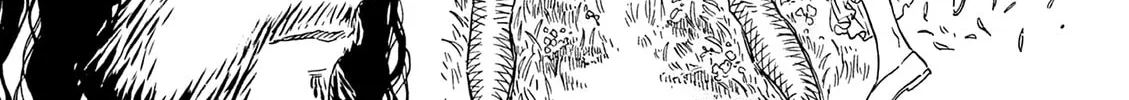 re CERVIN Chapter 15 page 38 - 