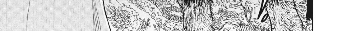 re CERVIN Chapter 4 page 22 - 