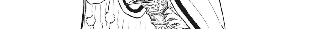 re CERVIN Chapter 5 page 16 - 