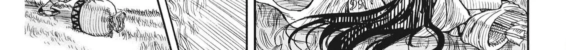 re CERVIN Chapter 9 page 14 - 