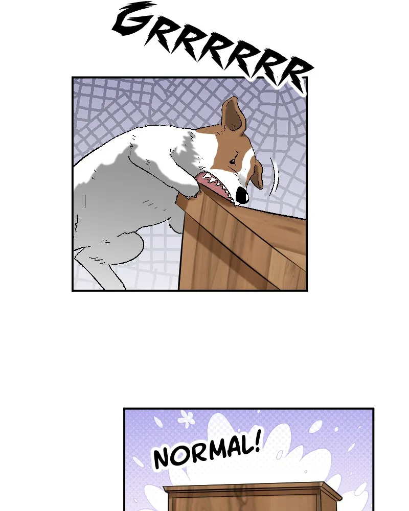Re-Possessed Chapter 75 page 21 - 