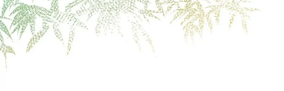 Rebirth in Paradise Chapter 27 page 71 - 