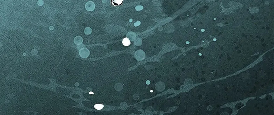 Rebirth in Paradise Chapter 34 page 13 - 