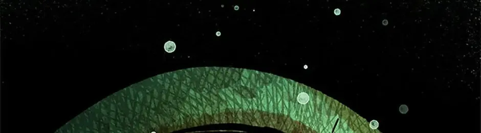Rebirth in Paradise Chapter 35 page 199 - 