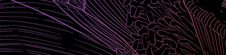 Rebirth in Paradise Chapter 36 page 206 - 